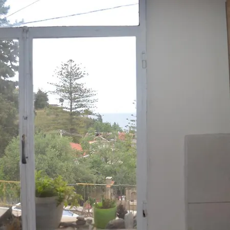 Nick Ζάκυνθος Πόλη